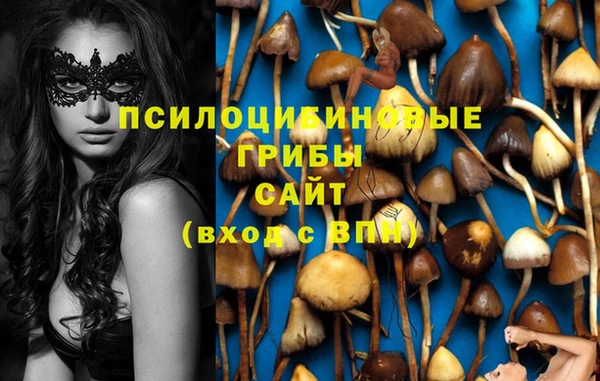 спиды Киренск
