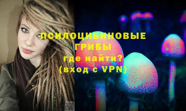 Альфа ПВП Касимов