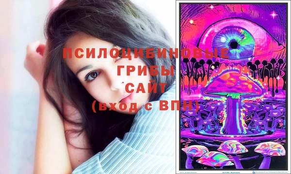 a pvp Кинешма
